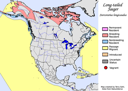 Long-tailed Jaeger - Range Map