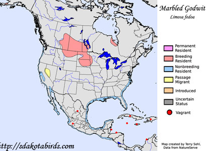 Marbled Godwit - Range Map