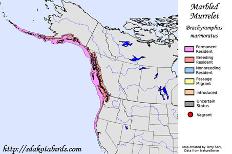 Marbled Murrelet - Range Map