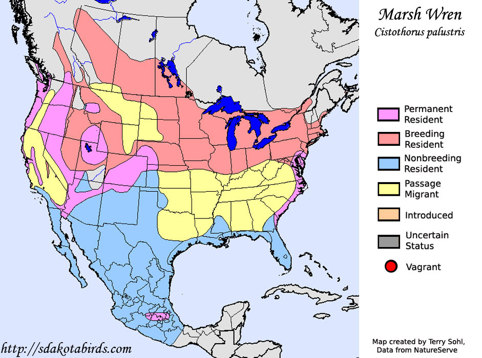 Marsh Wren Species Range Map