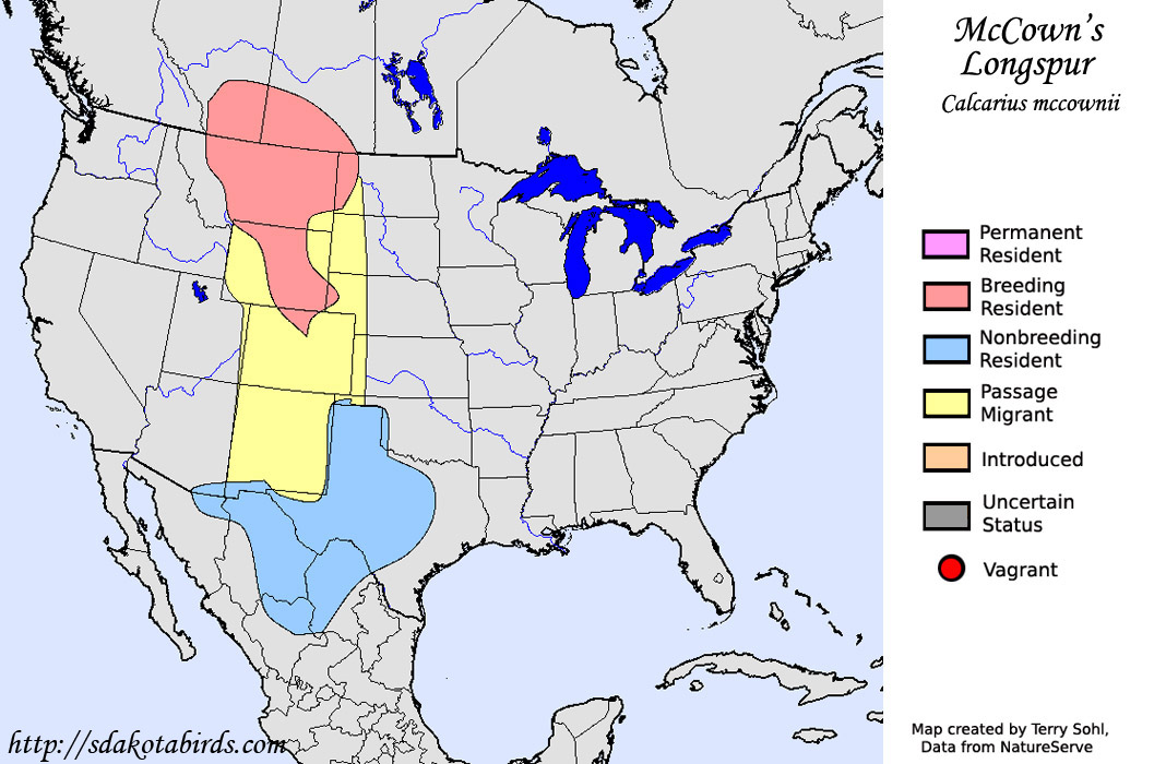 McCown's Longspur - Range Map