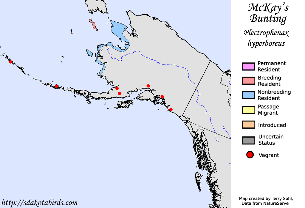 McKay's Bunting - North American Range Map