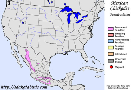 Mexican Chickadee - Range Map