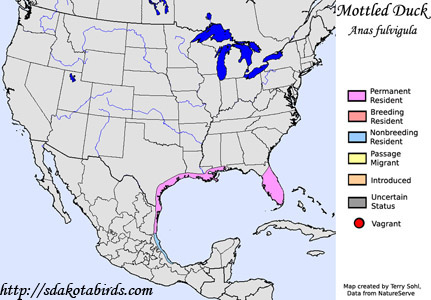Mottled Duck - Range Map
