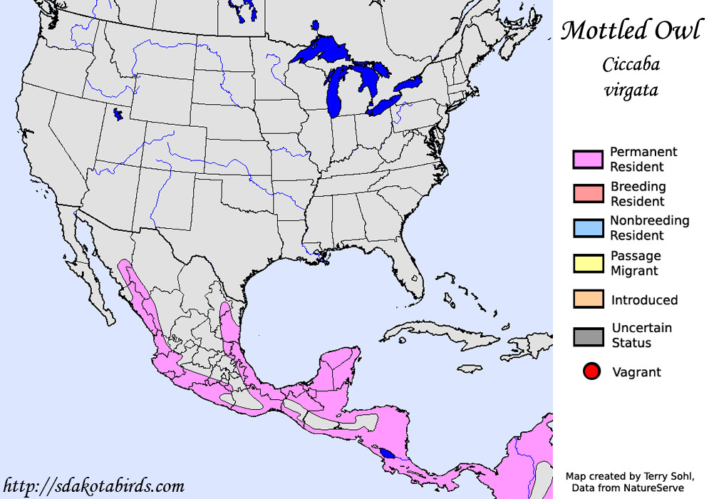 Mottled Owl - North American Range Map
