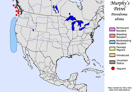 Murphy's Petrel - Range Map