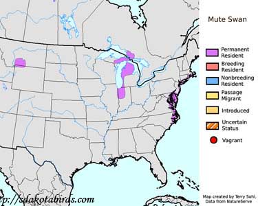Mute Swan range map