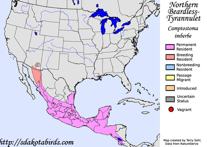 Northern Beardless-Tyrannulet - Range Map