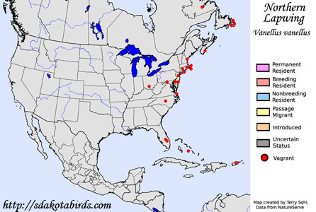 Northern Lapwing - Range Map