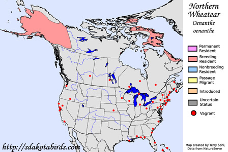 Northern Wheatear - Range Map