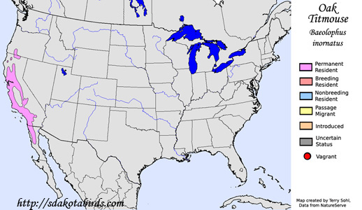 Oak Titmouse - Range Map