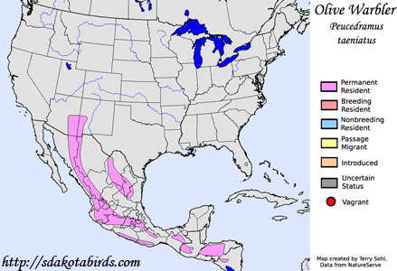 Olive Warbler - Range Map