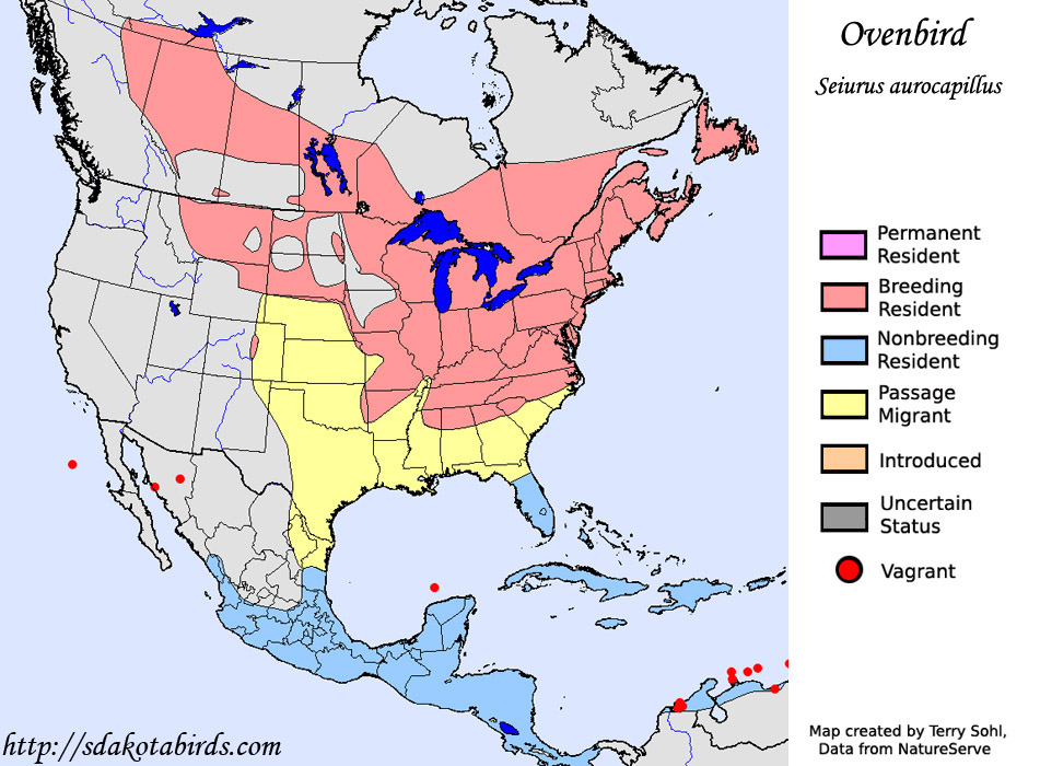 Ovenbird - Range Map