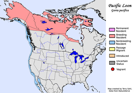 Pacific Loon - Range Map