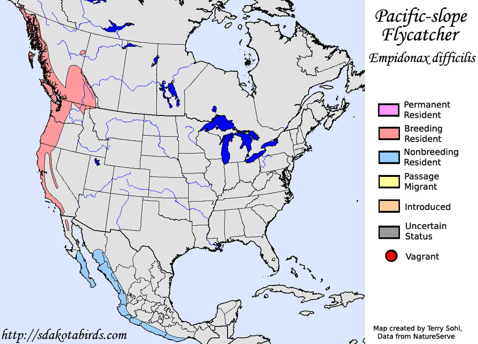 Pacific Slope Flycatcher - North American Range Map