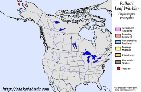 Pallas's Leaf Warbler - Range Map