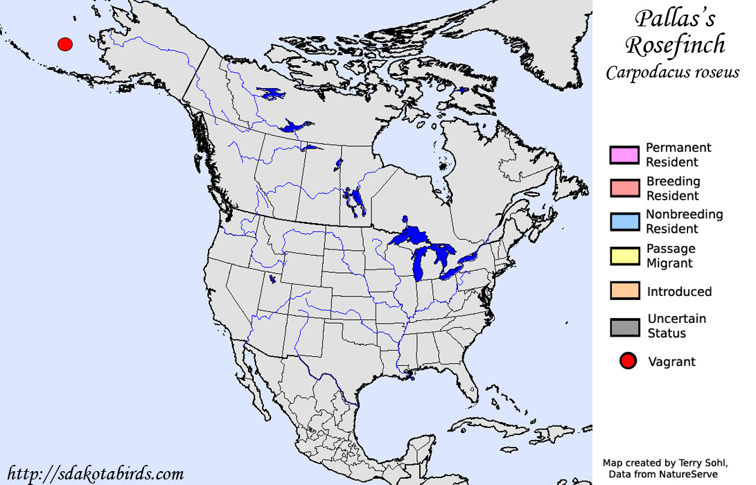 Pallas's Rosefinch - Range Map
