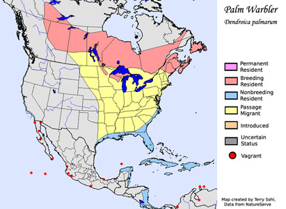 Palm Warbler - Range Map