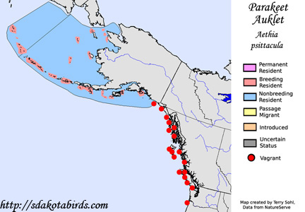 Parakeet Auklet - Range Map