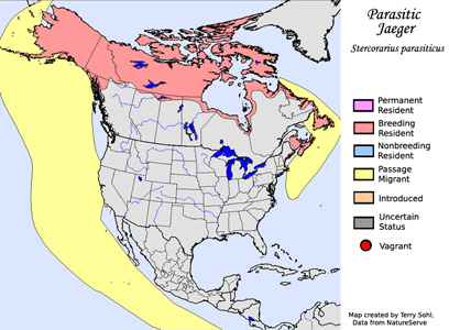 Parasitic Jaeger - Range Map