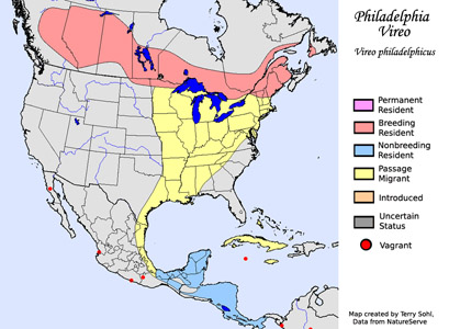Philadelphia Vireo - Range Map