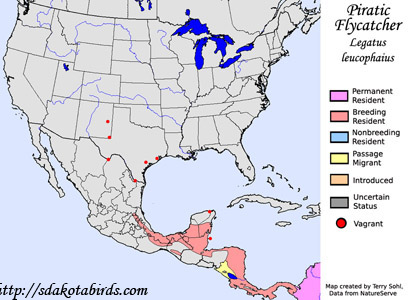 Piratic Flycatcher - Range Map
