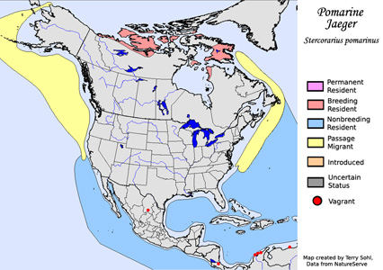 Pomarine Jaeger - Range Map