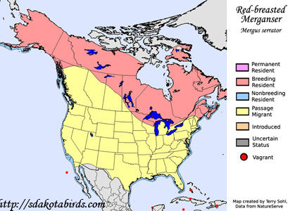 Red-breasted Merganser - Range Map