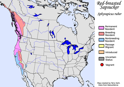Red-breasted Sapsucker - Range Map