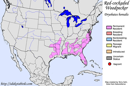 Red-cockaded Woodpecker - Range Map