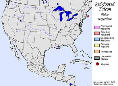 Red-footed Falcon - Range Map