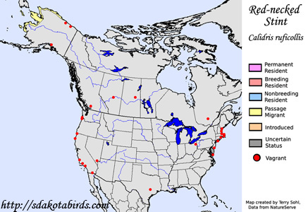 Red-necked Stint - Range Map
