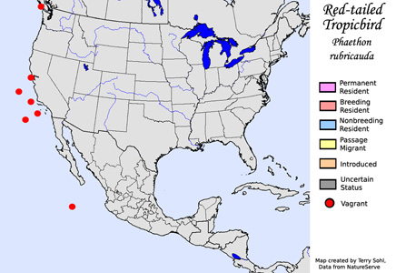 Red-tailed Tropicbird - Range Map