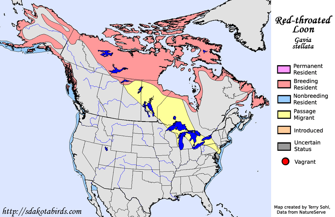 Red-throated Loon - Range Map