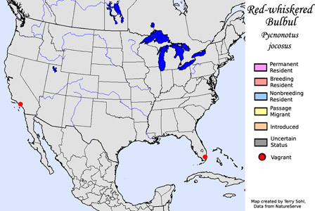 Red-whiskered Bulbul - Range Map