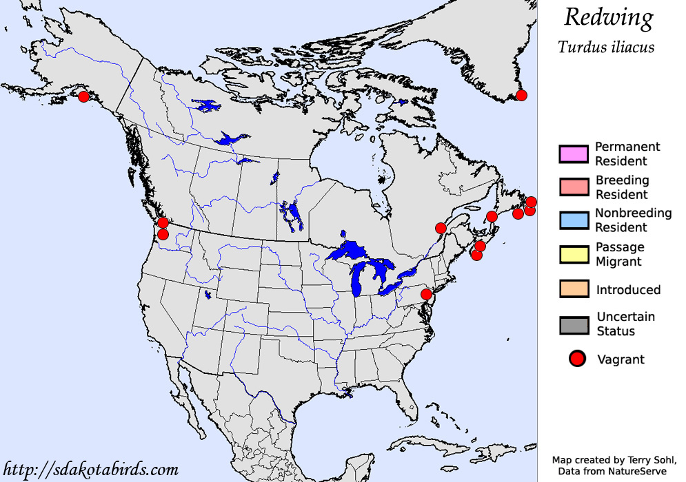 Redwing - North American Range Map
