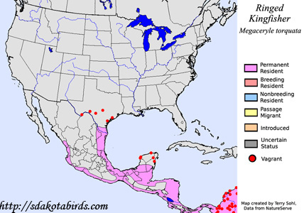 Ringed Kingfisher - Range Map
