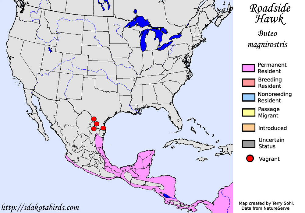 Roadside Hawk - North American Range Map