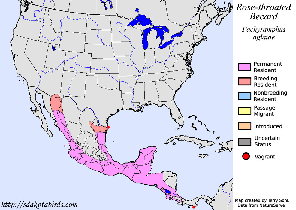 Rose-throated Becard - North American Range Map