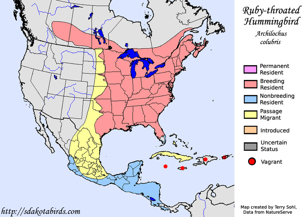 Ruby-throated Hummingbird - Archilochus colubris - Range Map