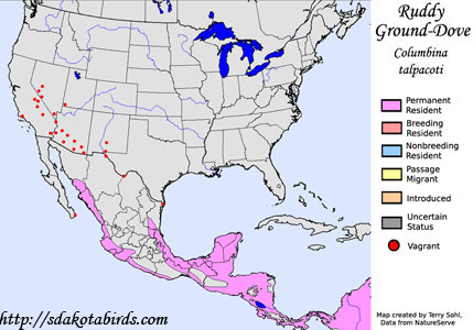 Ruddy Ground-Dove - Range Map