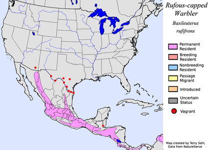Rufous-capped Warbler - Range Map