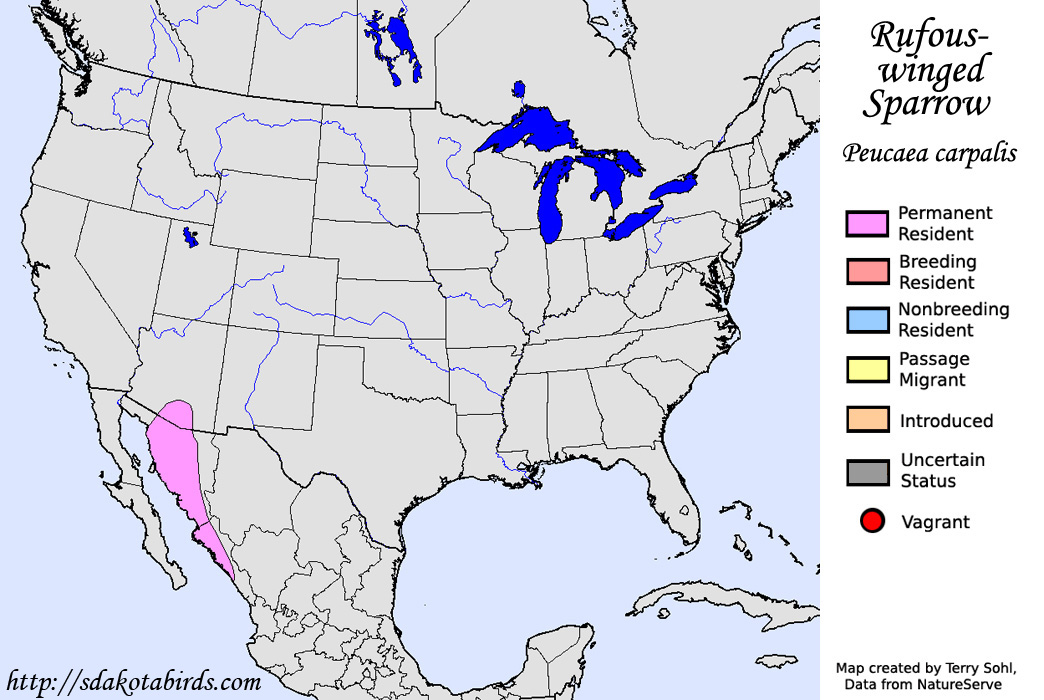 Rufous-winged Sparrow - North American Range Map