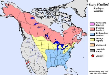 Rusty Blackbird - Species Range Map