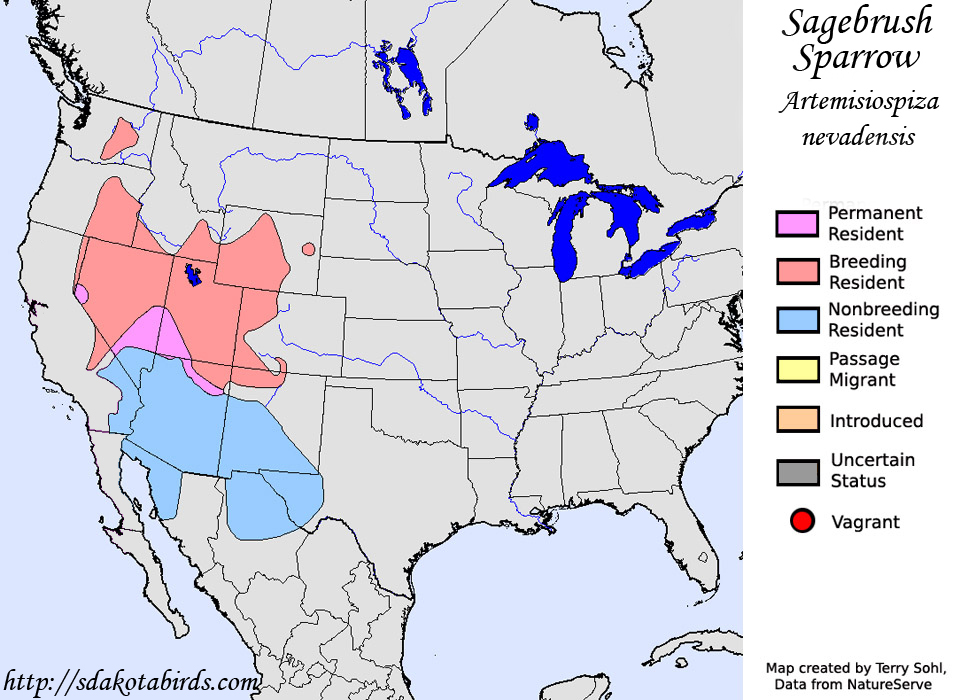 Sagebrush Sparrow Species Range Map