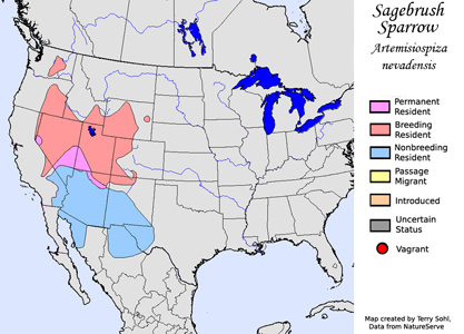 Sagebrush Sparrow - Range Map