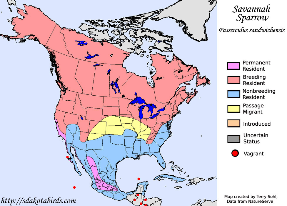 Savannah Sparrow - Range Map