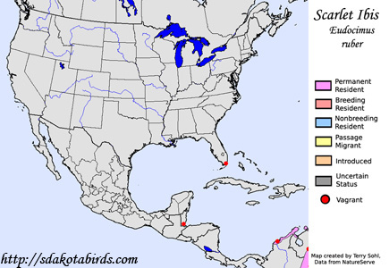 Scarlet Ibis - Range Map