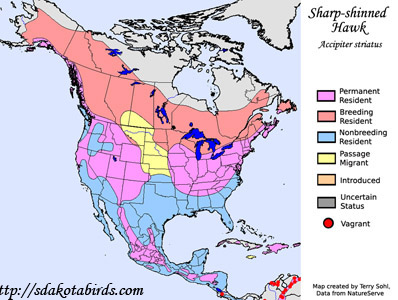 Sharp-shinned Hawk - Range Map