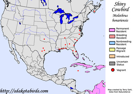 Shiny Cowbird - Range Map